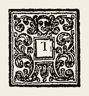 Ornament 0246