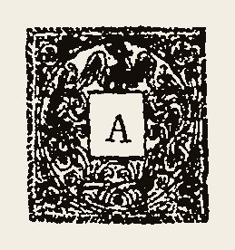 Ornament 0248