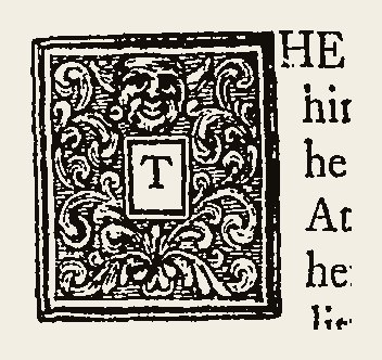 Ornament 0254