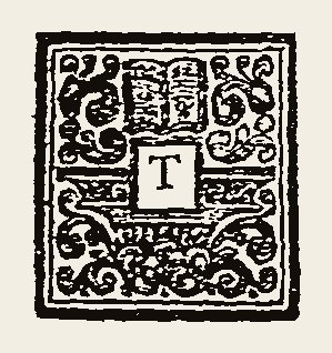 Ornament 0255