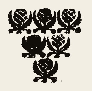 Floral 0009