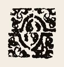 Ornament 0294