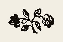 Cut 0010