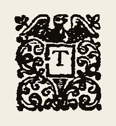 Ornament 0330
