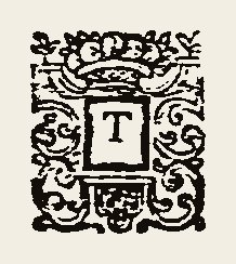 Ornament 0337