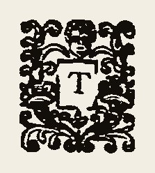 Ornament 0339