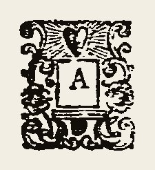 Ornament 0345