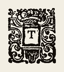 Ornament 0357