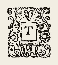 Ornament 0358