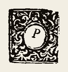 Ornament 0360