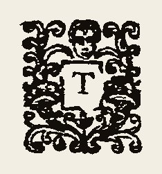 Ornament 0361