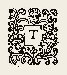 Ornament 0364