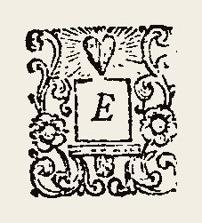 Ornament 0369