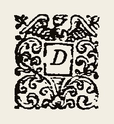 Ornament 0372