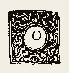 Ornament 0373