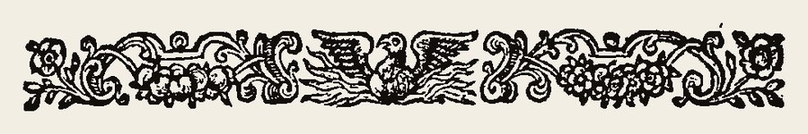 Border 1313