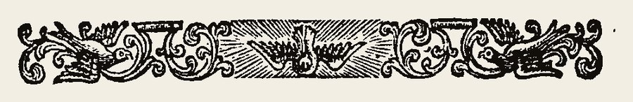 Border 1317