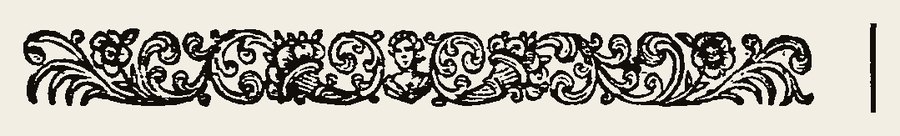 Border 1319
