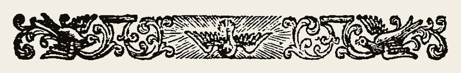 Border 1321