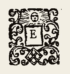 Ornament 0398