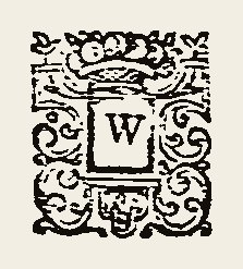 Ornament 0404