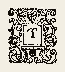 Ornament 0417