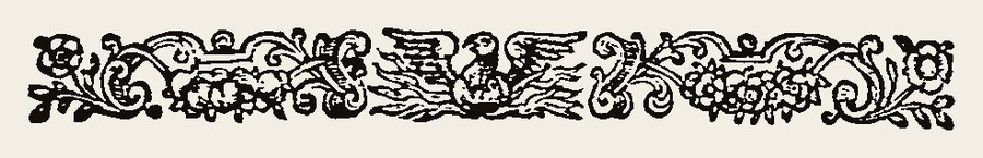 Border 1338