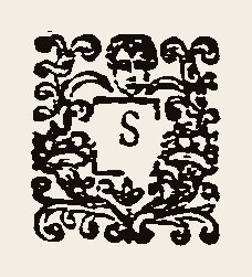 Ornament 0425