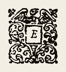 Ornament 0427