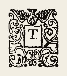 Ornament 0434