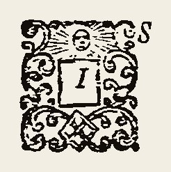 Ornament 0435