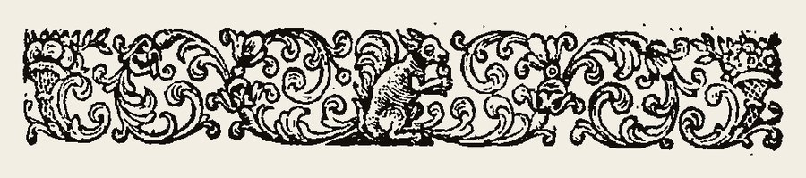 Border 1351