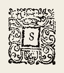 Ornament 0443