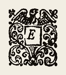 Ornament 0449