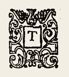 Ornament 0455