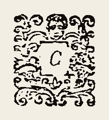 Ornament 0466