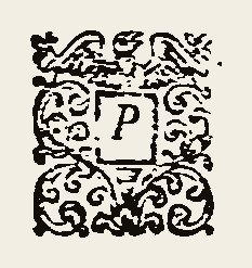 Ornament 0470