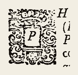 Ornament 0485