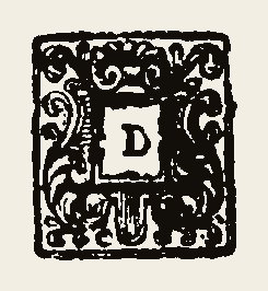 Ornament 0491