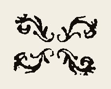 Ornament 0501