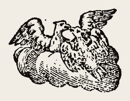 Bird 1178