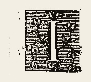 Ornament 0518