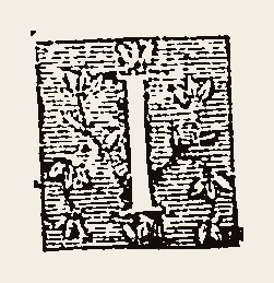 Ornament 0522