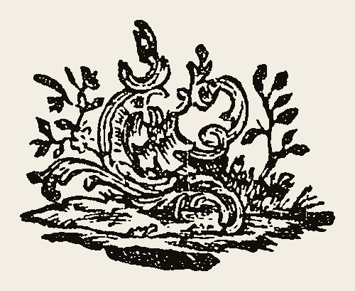 Ornament 0530