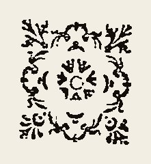 Ornament 0535