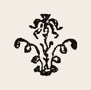 Ornament 0540