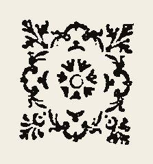 Ornament 0542