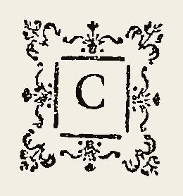 Ornament 0544