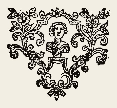 Ornament 0553