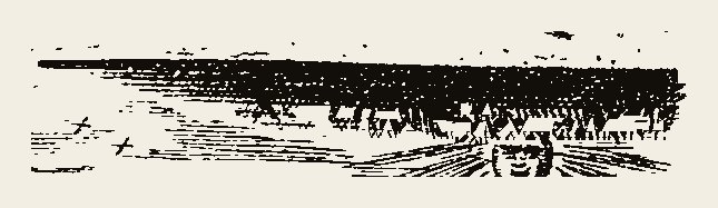 Border 1423